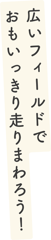 広いフィールドで おもいっきり走りまわろう！