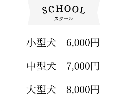 スクール料金表